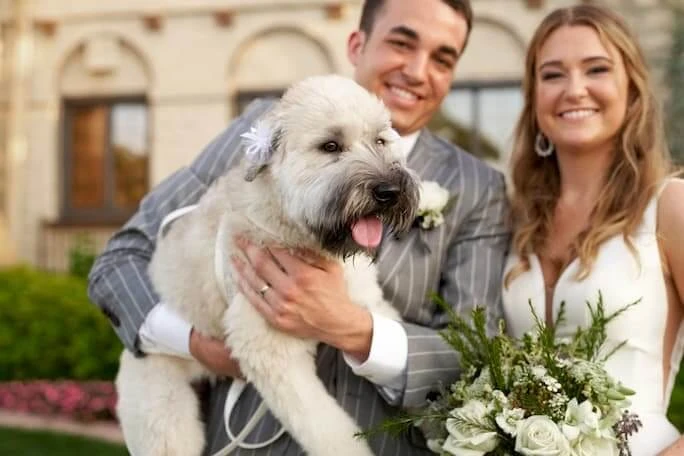 stella york style 6581, bride and groom holding their dog