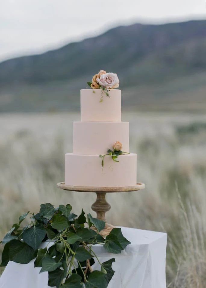 simple wedding cake