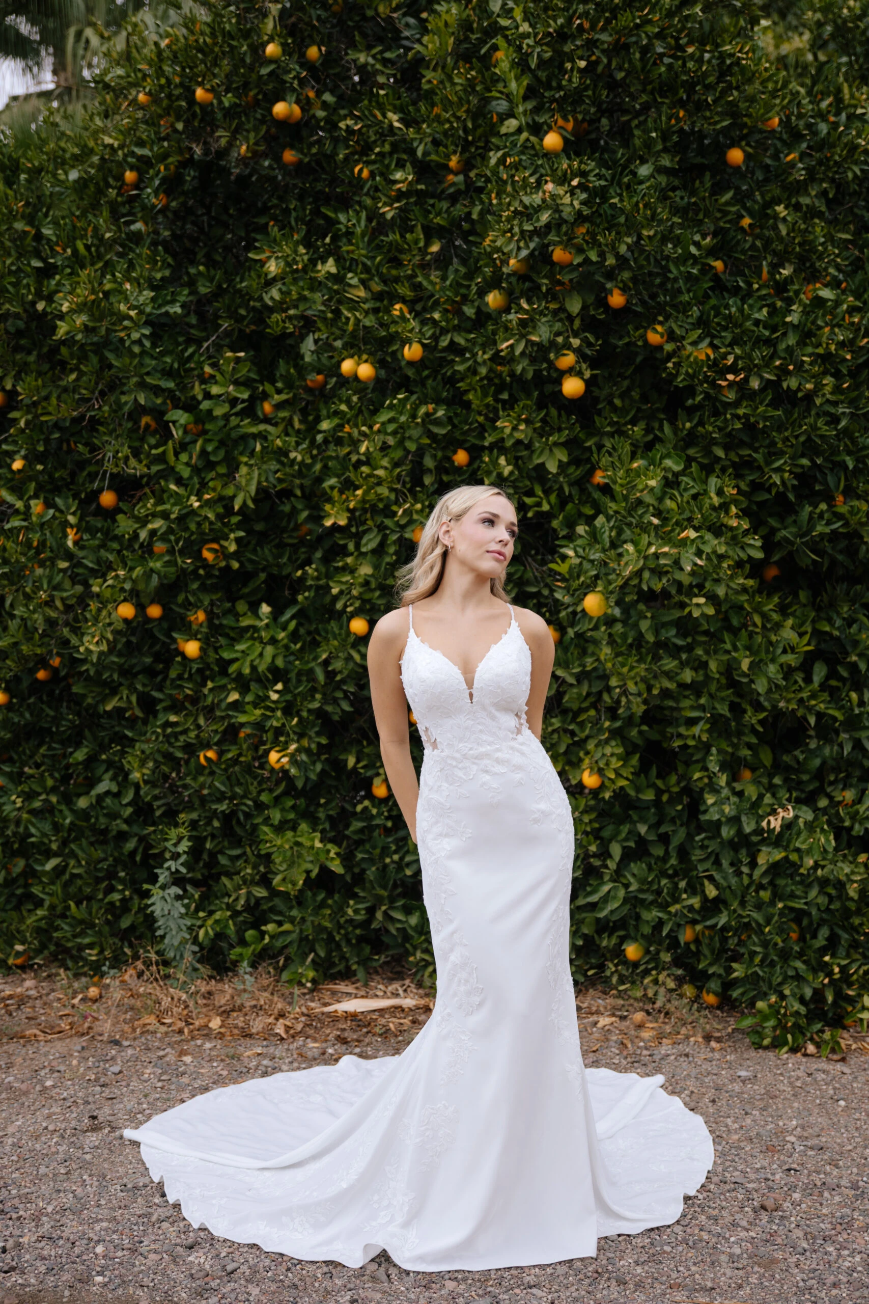 Bride wearing a fit and flare lace bodice wedding dress in front of a orange tree