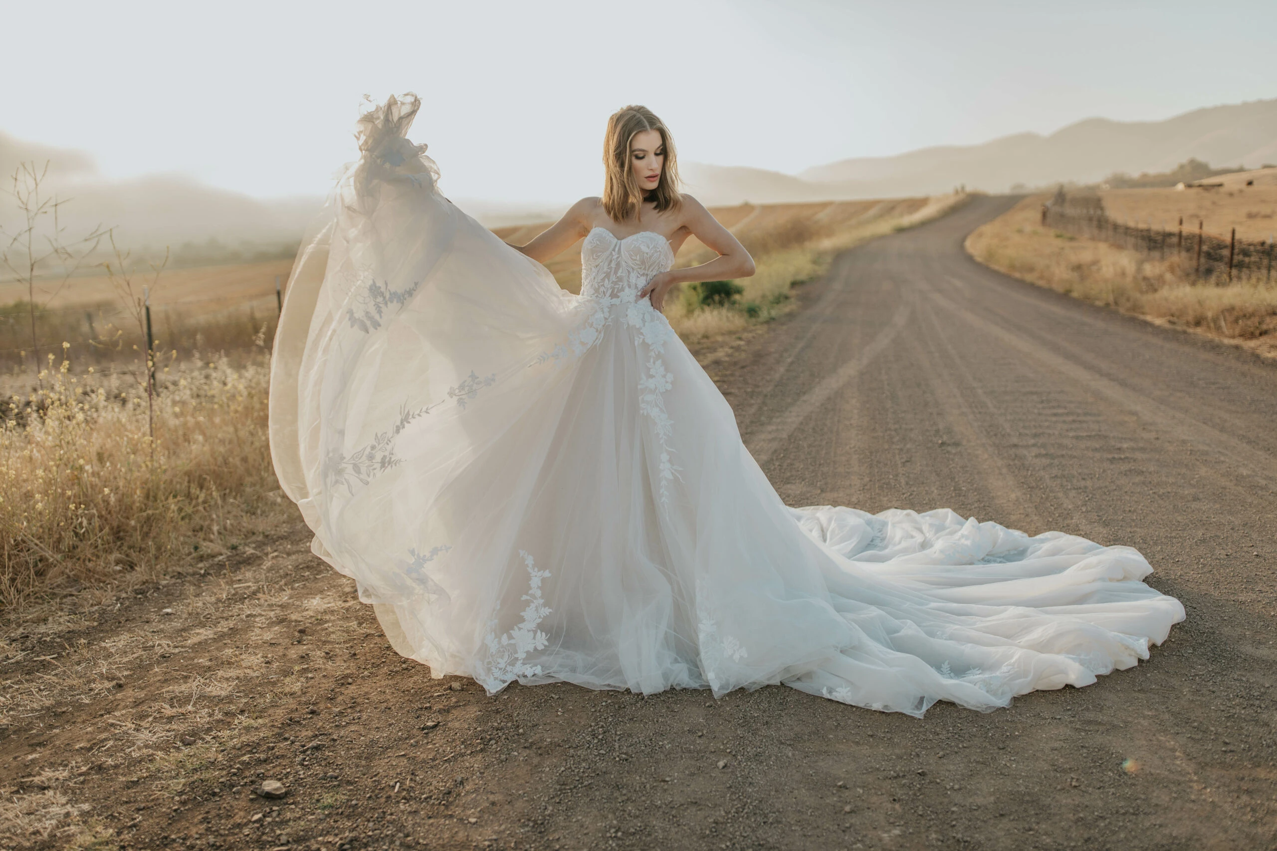 strapless ballgown wedding dress with sweetheart neckline - 1413 by Martina Liana