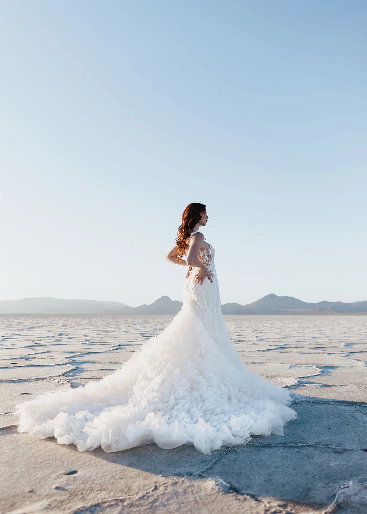 lace mermaid wedding dress with low back and feathered skirt - le1204 by Martina Liana Luxe