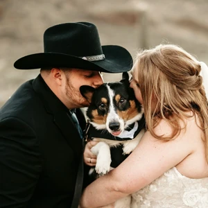 couple kissing their corgi on their wedding day